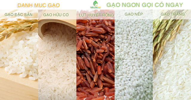 giao gạo quận 10