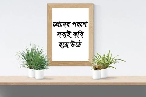 Bangla Shayari Photo