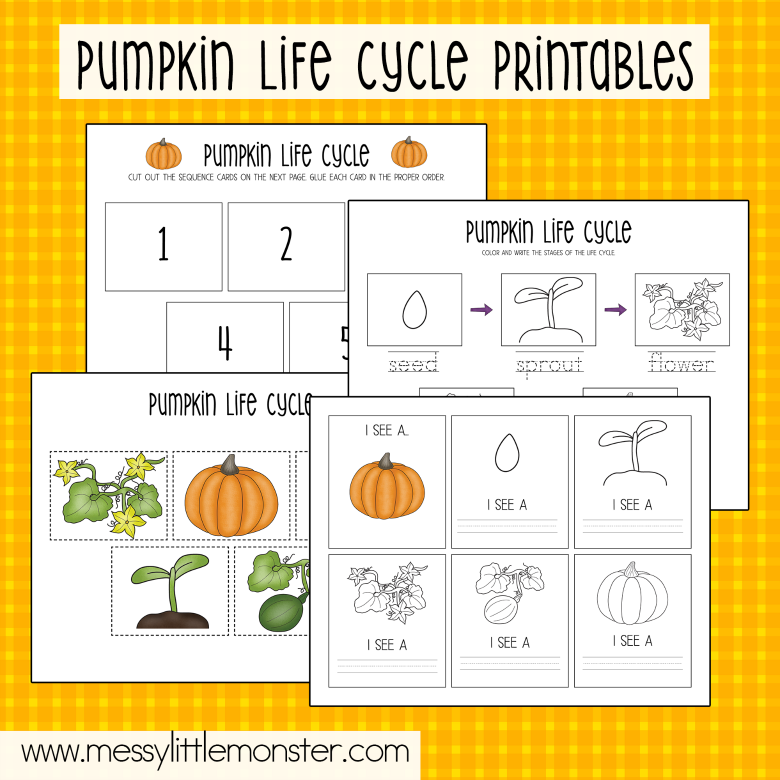 pumpkin life cycle activity for kids