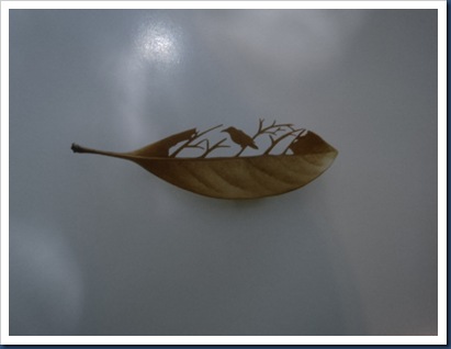 leaves-5