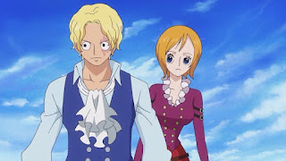 koala-x-sabo