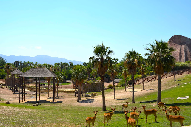 Terra natura benidorm