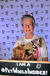 Coco, the Cornish Rex and Teri at BlogPaws, photo by Pet World Insider
