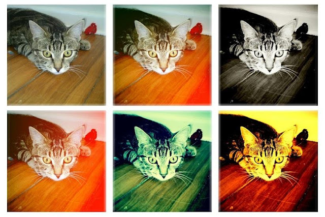 Toy Camera
