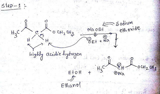 Ethyl acetoacetate reactions with NaOEt