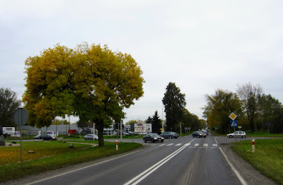 Zdjęcie:
