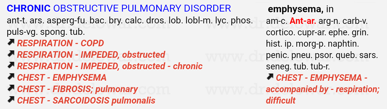 Chronic Obstructive Pulmonary Disease