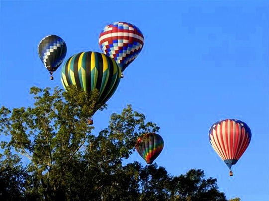 IMG_9509 (Small)