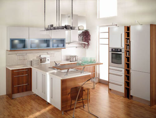 Small Kitchen Design Ideas