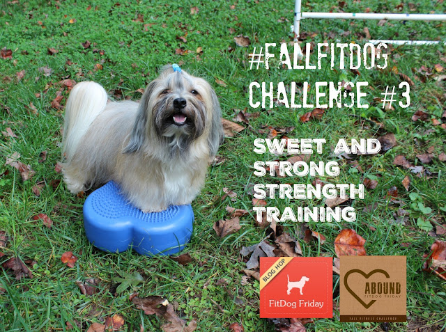 #FallFitDog FitDog Friday Fall Fitness Challenge with About Strength Training