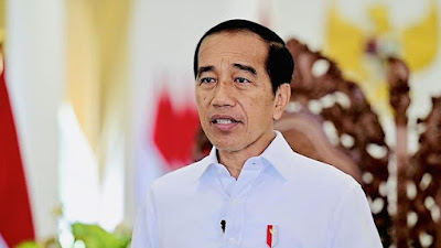 Jokowi's Optimism Soars as Ewer Airport in Asmat