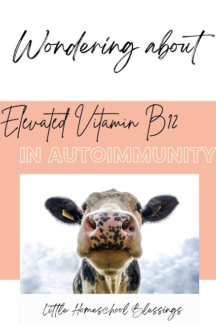 Cow and the question wondering about elevated vitamin b12 in autoimmunity