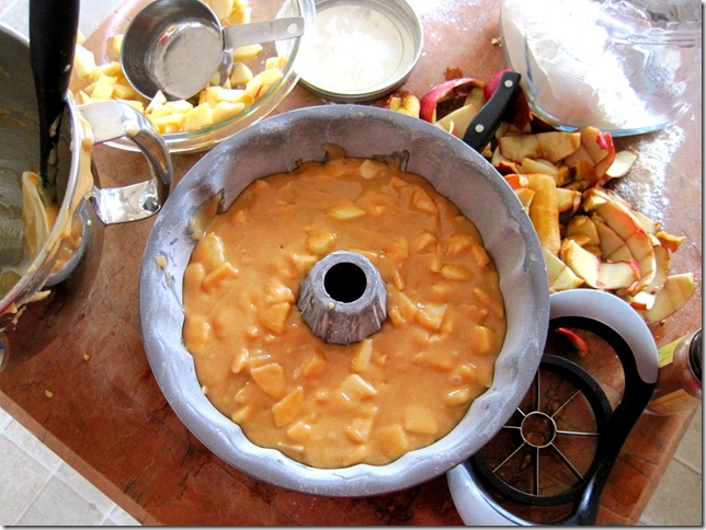 Apple Cake 7