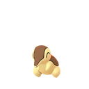 Shiny Cyndaquil