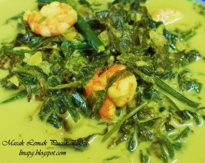 Resepi Gulai Udang Pucuk Paku - Chin Chin Bugsy