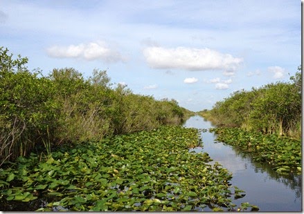 2014-04-04-Everglades09