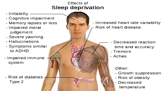 Sleep for Good Health: "The less you Sleep, The shorter your Life"