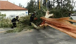 δέντρο