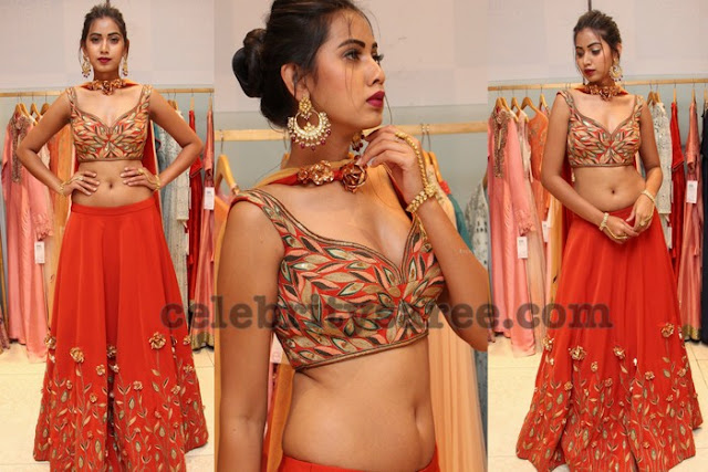 Harathi Honey Red Lehenga