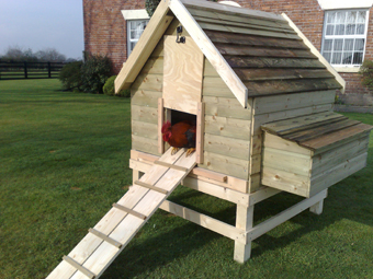  build some cool chicken coops with the right kind of chicken coop