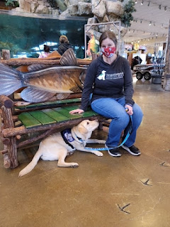 A woman in a mask sits on a fish-shaped bench in Bass Pro Shops. A yellow lab in a purple service dog harness lies under the bench and looks at the woman.