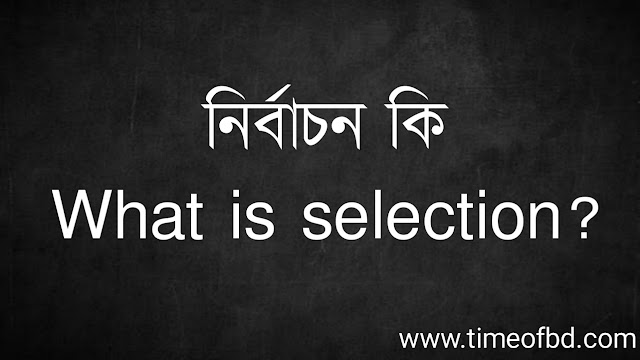 নির্বাচন কি | What is selection?