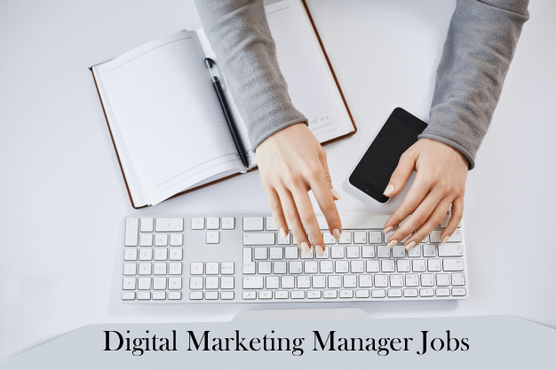 Digital Marketing Manager Jobs In Mumbai