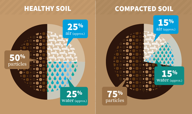 Drought-Proofing Your Yard