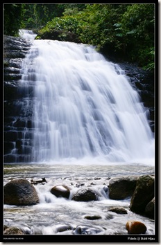 bukit hijau2