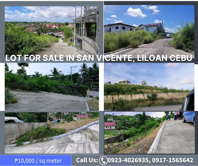 Installment Lot in San Vicente Liloan Cebu