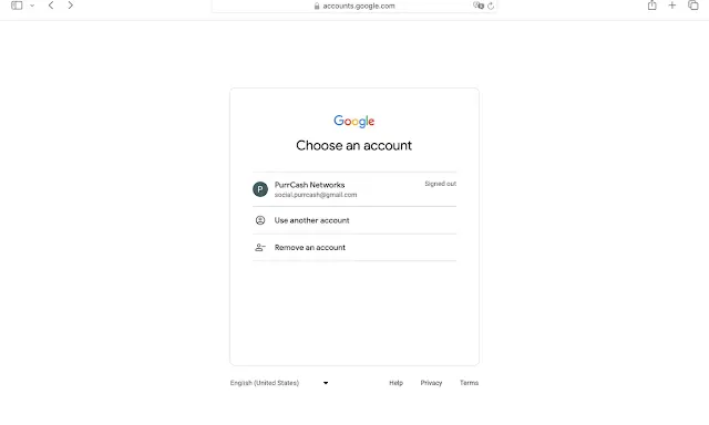Remove a Google account from Safari on Mac