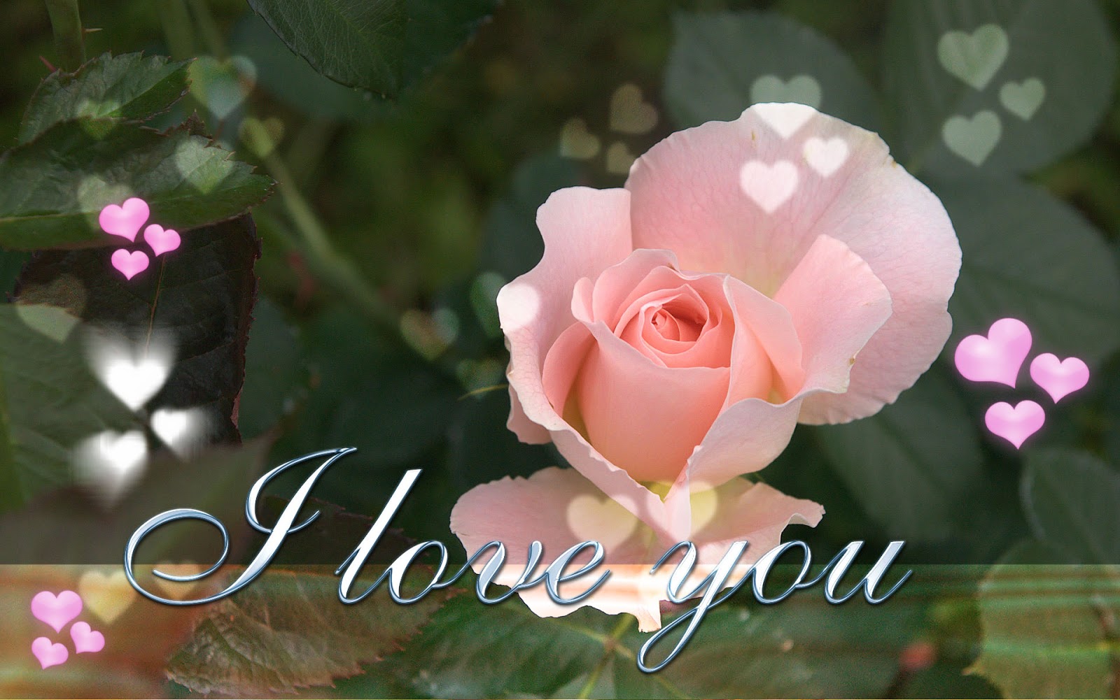 I Love You Wallpapers