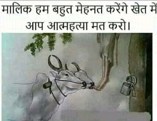 चित्र