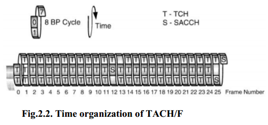Time organization of TACH/F