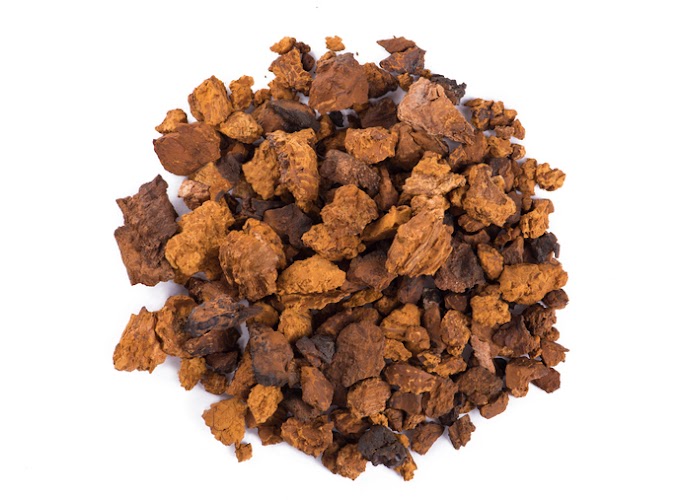 Chaga Mushroom Company in Nagaland | Chaga mushroom supplier | Biobritte mushroom supplier