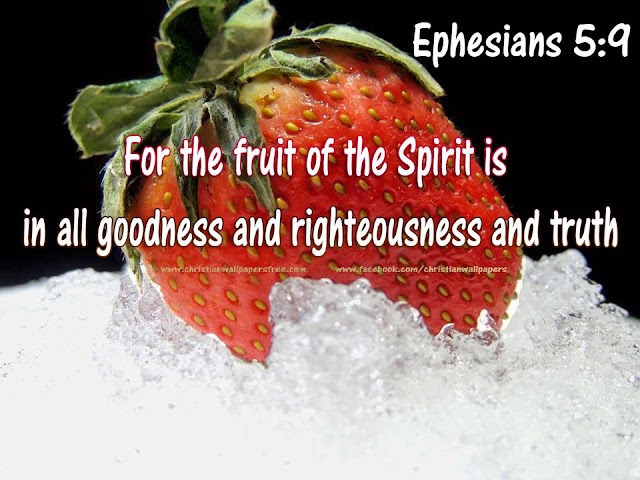 Fruit of Spirit 