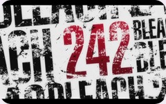 242