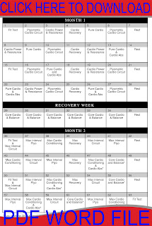 Insanity Workout Schedule