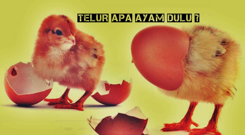 Lebih Dulu Mana Ayam  atau Telur  Ayam  Ini Jawaban 