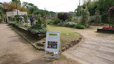 花の文化園(河内長野市)