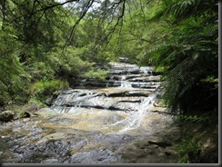 180209 112 Leura Cascades