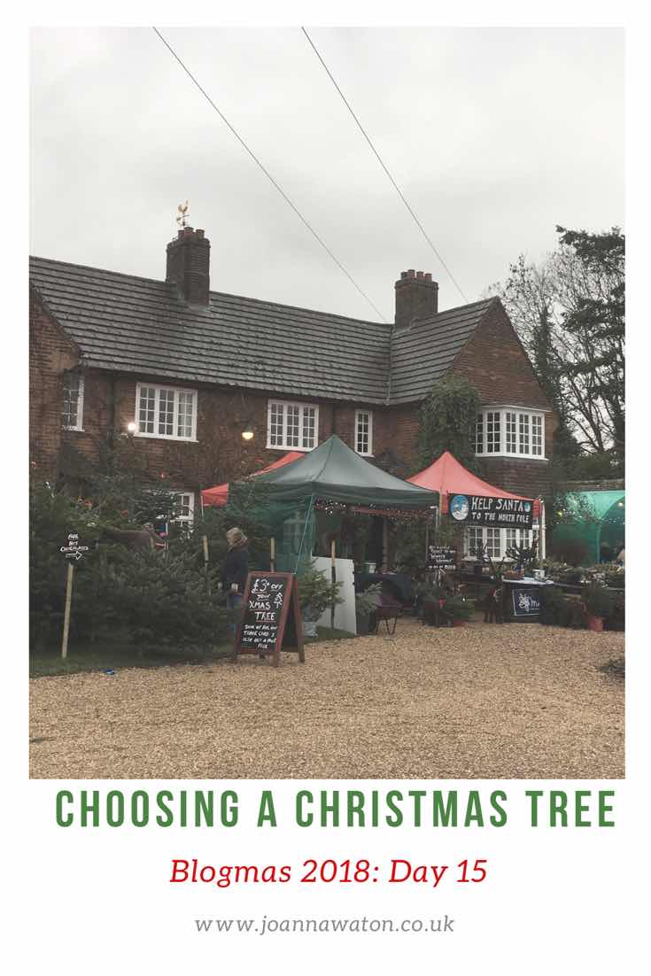 Choosing a Christmas Tree