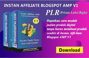 Instan Affiliate Blogspot AMP V1 PLR