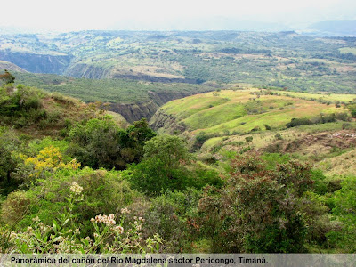 paisaje-timana-huila