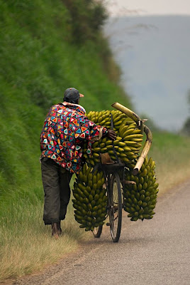 Persona llevando bananas en bicicleta