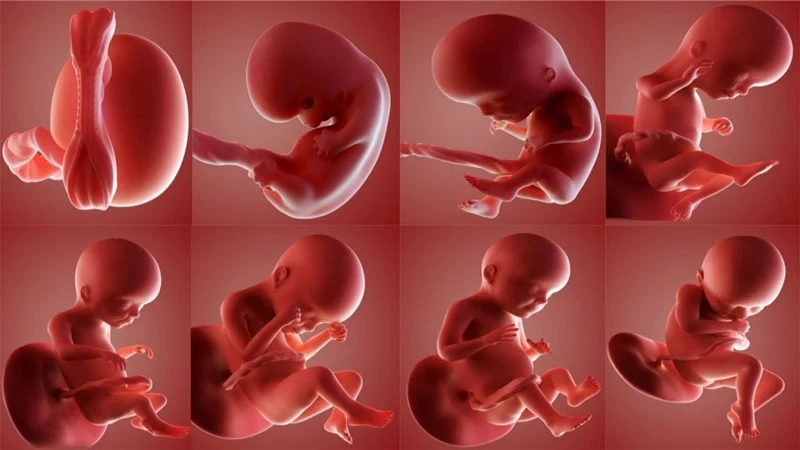 Doğum kontrolü ve kürtaj