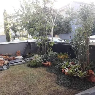 Shakila landscape