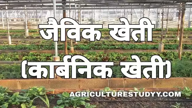 जैविक खेती क्या है, organic farming in hindi, कार्बनिक खेती, ऑर्गेनिक फार्मिंग, jevik kheti, जैविक खेती की परिभाषा, जैविक खेती के लाभ, जैविक कृषि, खाद