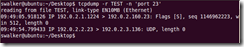 tcpdump_3