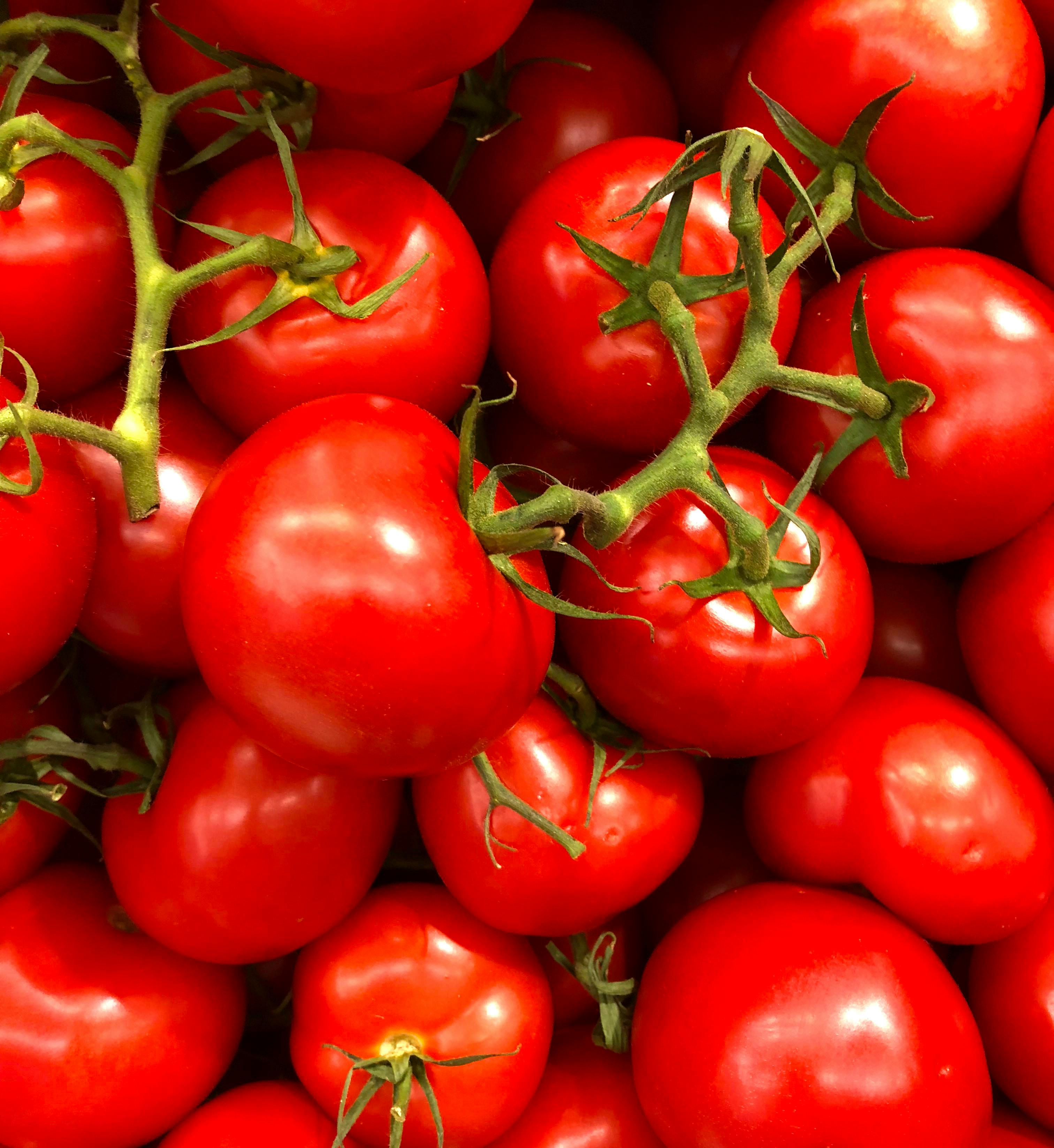 10 Surprising Health Benefits of Tomatoes